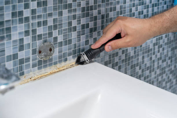 Best Mold Remediation  in Old Orchard, PA